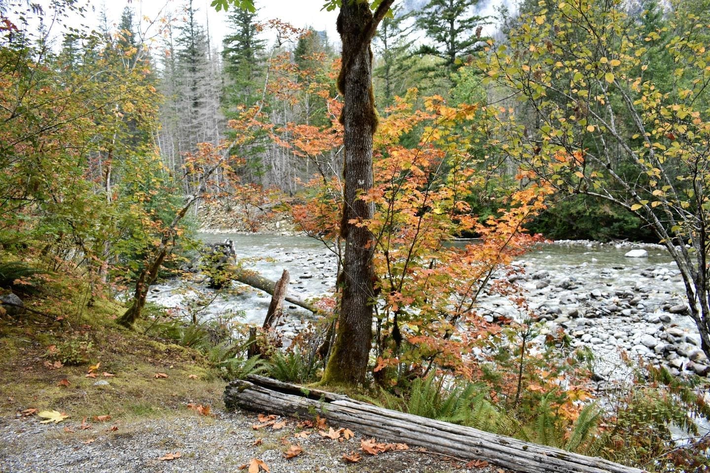 Lower Goodell Group Campground Discover Our Parks