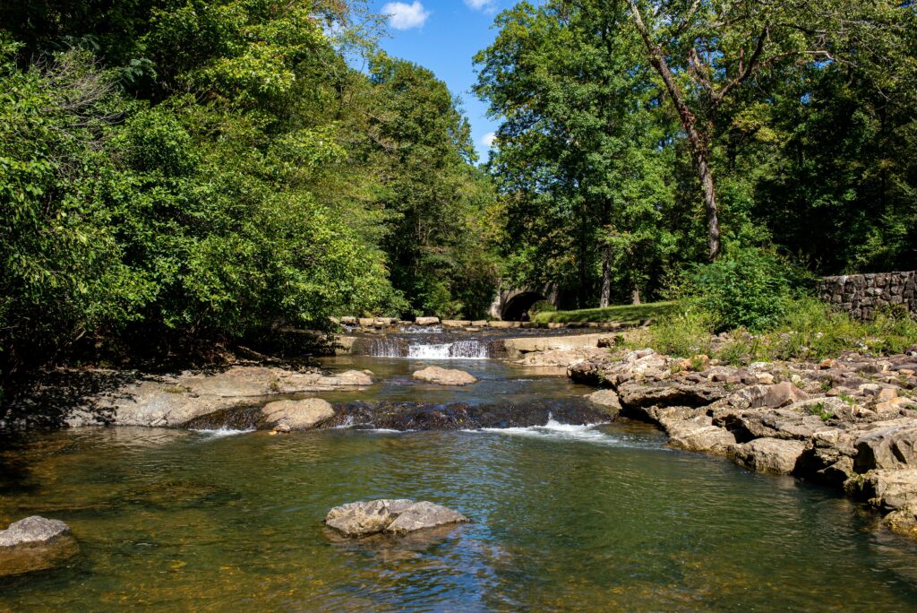 Gulpha Gorge Campground - Discover Our Parks