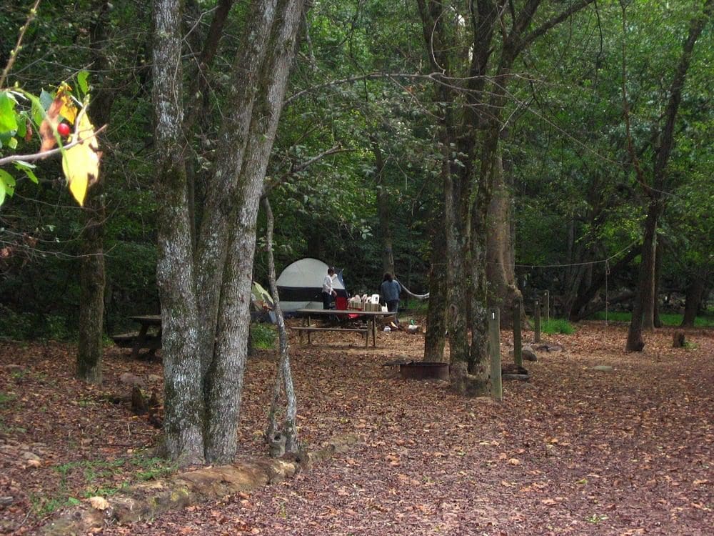 A tent in a campsite in Glades Creek Campground